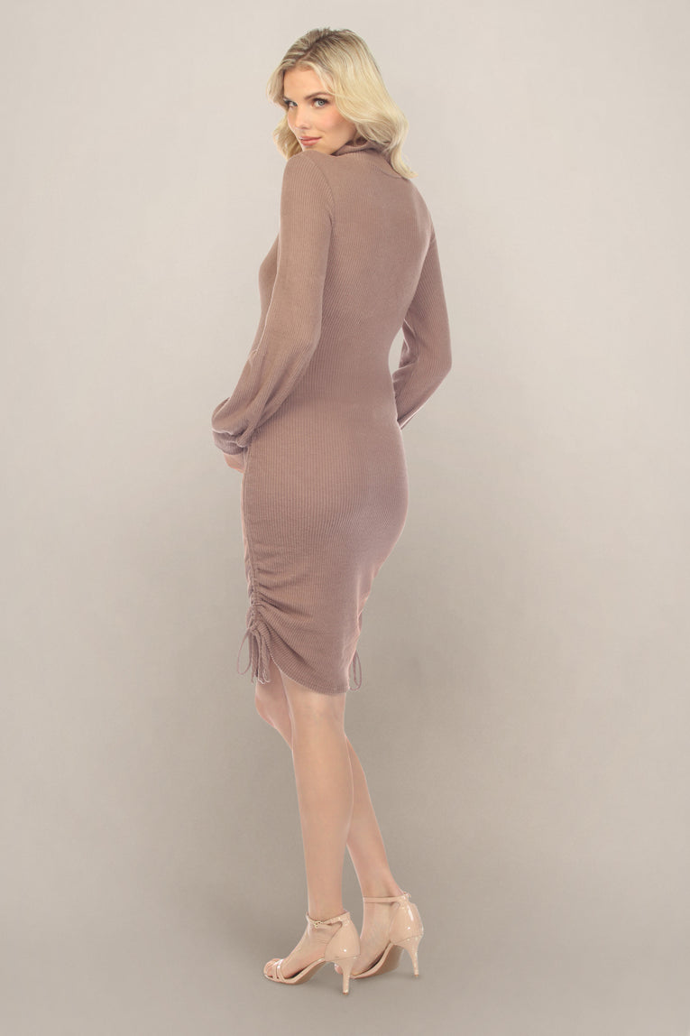 Plain Acorn Maternity Dress Tilt